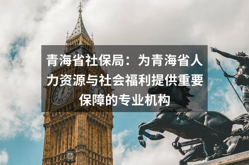 青海省社保局:为青海省人力资源与社会福利提供重要保障的专业机构