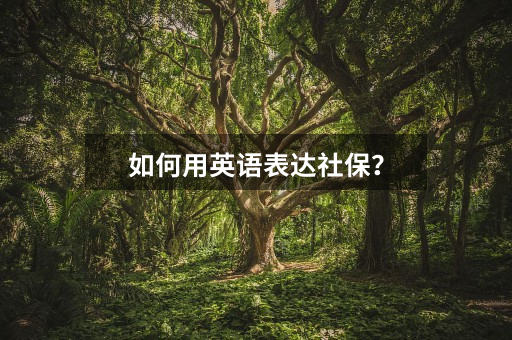 如何用英语表达社保?