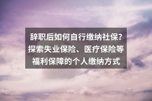 辞职后如何自行缴纳社保?探索失业保险、医疗保险等福利保障的个人缴纳方式