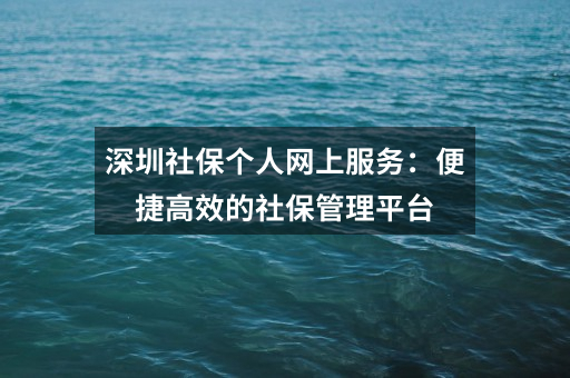 深圳社保个人网上服务：便捷高效的社保管理平台