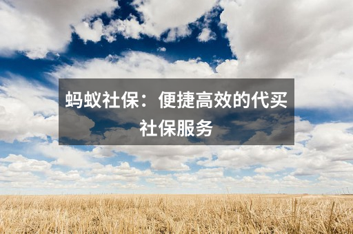 蚂蚁社保：便捷高效的代买社保服务