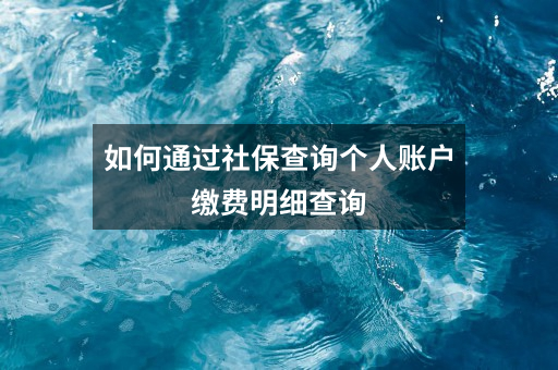 如何通过社保查询个人账户缴费明细查询