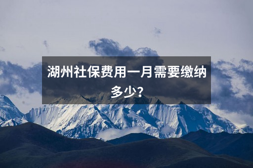 湖州社保费用一月需要缴纳多少？