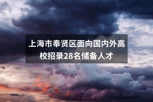 上海市奉贤区面向国内外高校招录28名储备人才