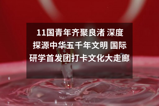 11国青年齐聚良渚 深度探源中华五千年文明 国际研学首发团打卡文化大走廊三大地标
